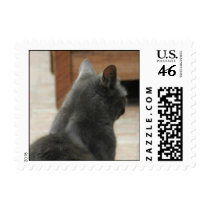 I'm Not Paying Attention To You Postage Stamp