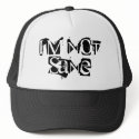 I'm Not Sane Hat by Bizerk I'm Not Sane Hat