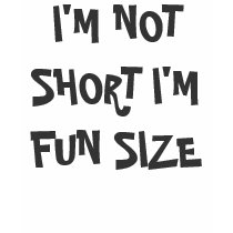 I'M NOT SHORT I'M FUN SIZE t-shirts