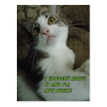 i'm not Sorry Postcard postcards