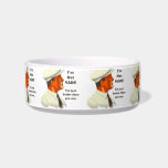 I'm Not Vain, I'm Just Better Than You Are pet bowls