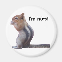 I'm nuts! magnets