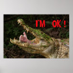 I'm ok ! posters