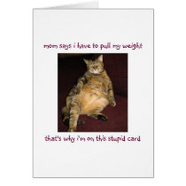 I'm on this stupid card.
