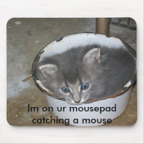 Im on ur mousepad-Cat by Jex123 Im on ur mousepad-Cat