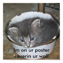 Im on ur poster coverin ur wall-Cat posters by Jex123 Im on ur poster coverin ur wall-Cat posters