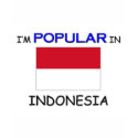 I'm Popular In INDONESIA t-shirts