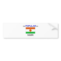 I'm Popular In NIGER bumper stickers by flagshirt I'm Popular In NIGER bumper stickers