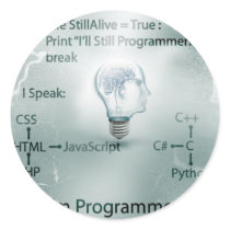 I'm Programmer Round Stickers