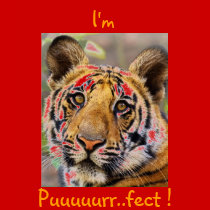 I'm, Puuuuurr..fect t-shirts