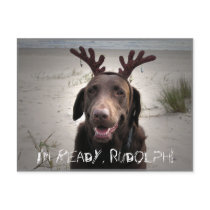 I'm ready, Rudolph! Post Cards