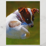 I'm really cute flyer design