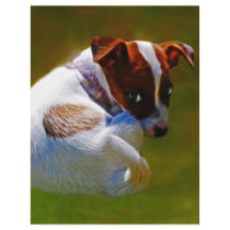 I'm really cute letterhead by laureenr I'm really cute letterhead