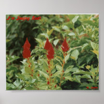 I'm Seeing Red Print