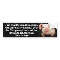 IM SMART BUMPER STICKERS