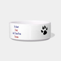 I'm Smart Funny And I Come From Panama Cat Water Bowls