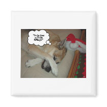 I'm So Done with the Holidays! magnets
