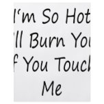 I'm So Hot I'll Burn You If You Touch Me Flyer Design