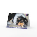 I'M SO LOST WITHOUT YOU cards by minx267 I'M SO LOST WITHOUT YOU cards