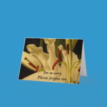 Im so sorry Please forgive me cards