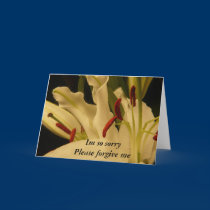 Im so sorry Please forgive me cards