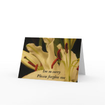 Im so sorry Please forgive me cards by Davitt Im so sorry Please forgive me cards