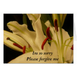 Im so sorry Please forgive me Card