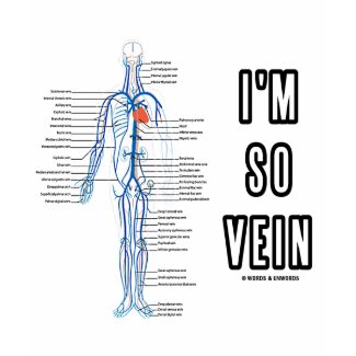 I'm So Vein (Vain / Vein Circulatory System Humor) shirt