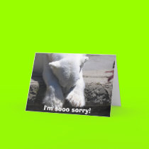 I'm sooo sorry! cards