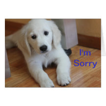I'm Sorry apology card