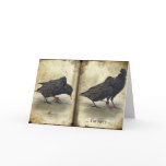 I'm Sorry - birds - greeting card