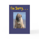 I'm sorry cards