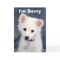 I'm Sorry cards