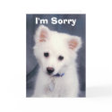 I'm Sorry cards