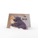 I'm Sorry cards by mrsmas I'm Sorry cards