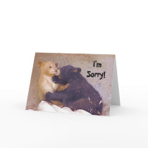 I'm Sorry cards by mrsmas I'm Sorry cards