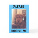 im sorry cards by froggiejacc im sorry cards