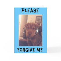 im sorry cards by froggiejacc im sorry cards