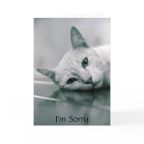 I'm Sorry cat card by kittykafe I'm Sorry cat card