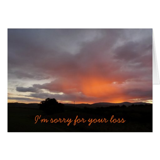 i-m-sorry-for-your-loss-card-zazzle