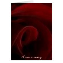 I'm sorry greeting card