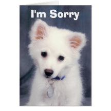 I'm Sorry Greeting Card