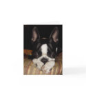 I'm sorry note card