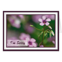 I'm Sorry - Pink Wood Sorrel Greeting Card