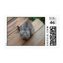 I'm Sorry postage by MOMKAY I'm Sorry postage