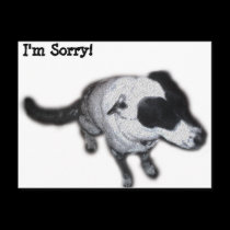 I'm Sorry! Postcard