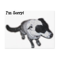 I'm Sorry! Postcard