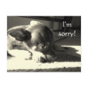 I'm sorry! postcards