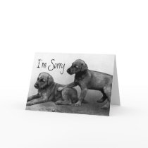 I'm Sorry - Puppy Friends cards by medmondson I'm Sorry - Puppy Friends cards