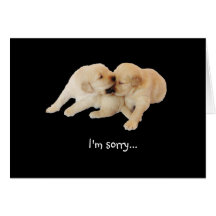 "I'm sorry" Puppy Love Greeting Cards
